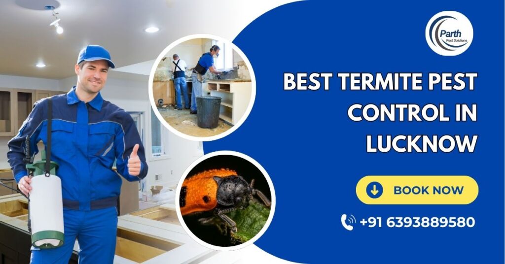 Best Termite Pest Control in Lucknow
