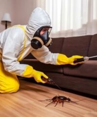 Parth Pest Solution Lucknow