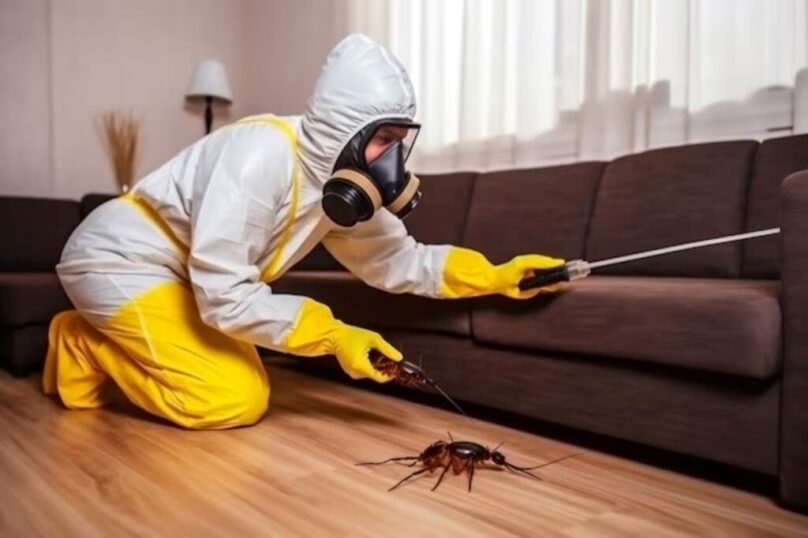 Parth Pest Solution Lucknow